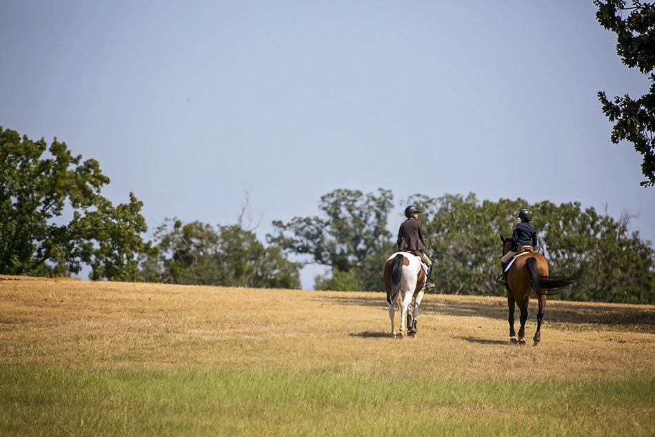 Two riders in show attire riding horses across a grassy field at a horse show